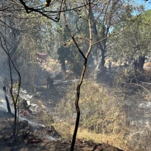 edremitte ortu yangini kontrol altina alindi F1B19Kg1