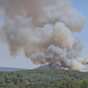 izmirde orman yangini iPArilRT