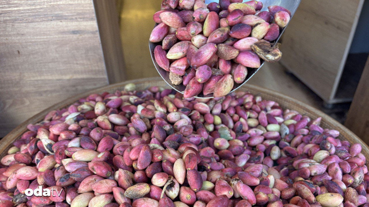 fistikta sok artis zam dudak ucuklatti TjCSxpIy