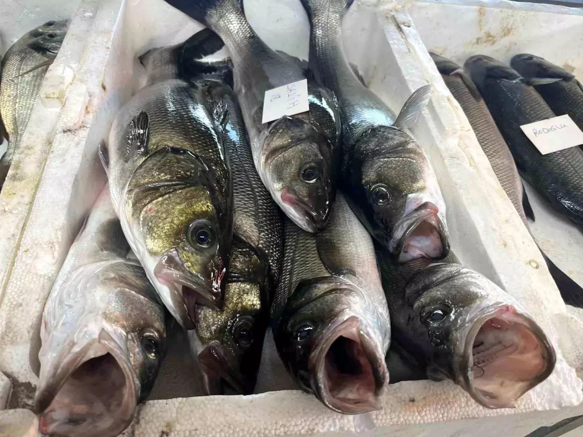 izmirde taze balik mezati gelenegi vTfgDWTM