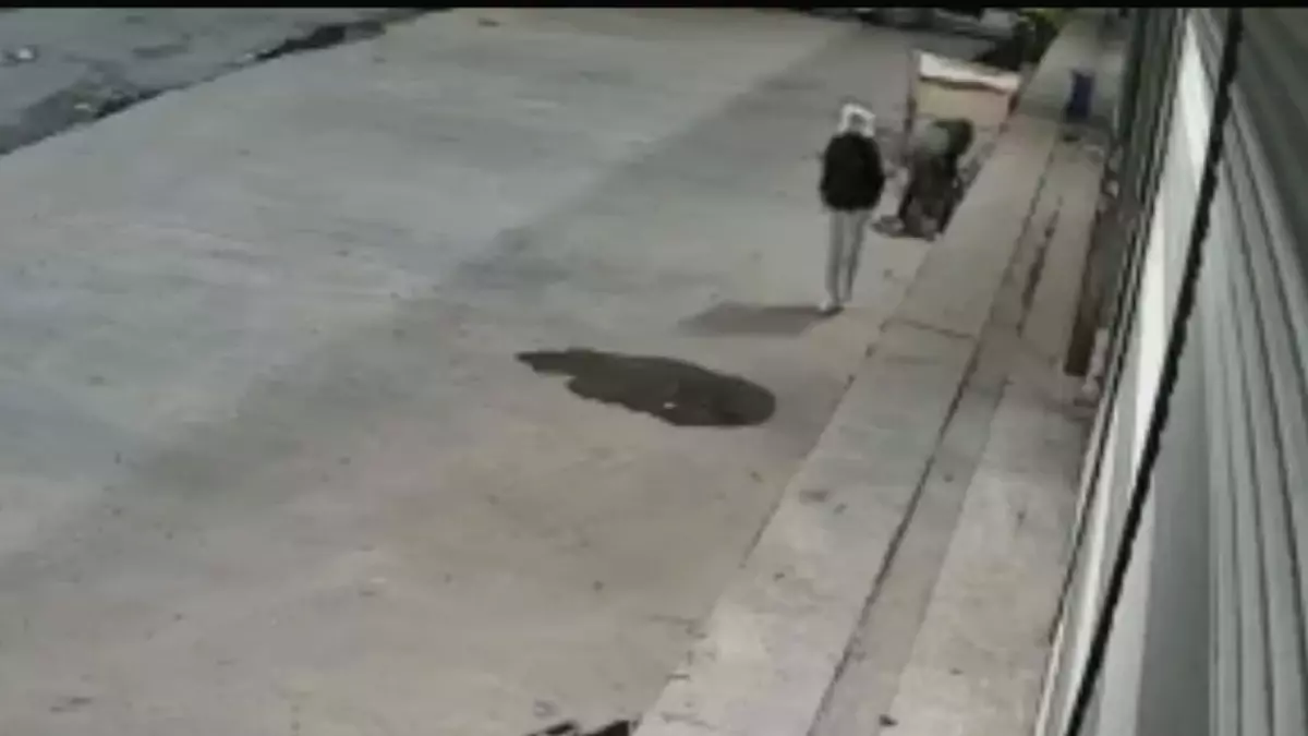 bayrampasada guvercin hirsizligi iRPsVkX1.jpg