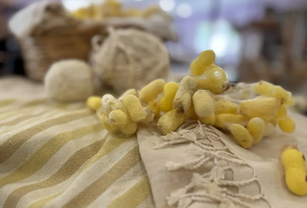 hatay sarisi ipegi tescillendi UC12Jtly