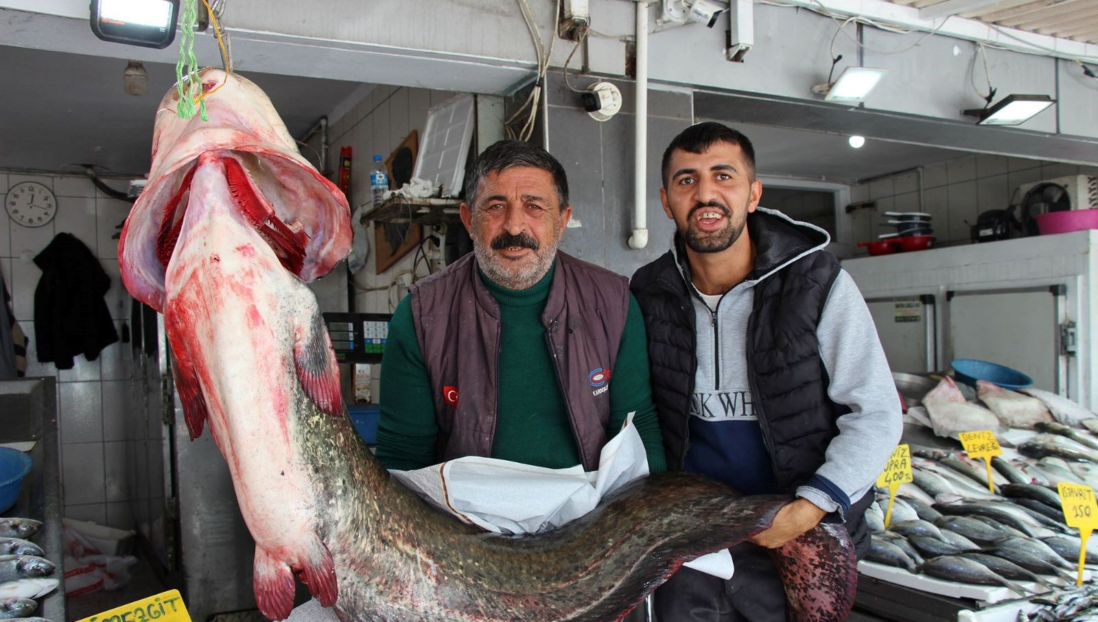 kilosu 250 liradan satisa sunuldu tam 85 kilogram agirliginda FSnMBweJ