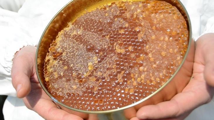 turk balinda 234 milyon dolarlik ihracat gerceklestirildi 7WuQxm6X.jpg