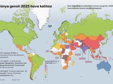 2025 Yılı Küresel Hava Kalitesi Raporu: Sadece 13 Ülke Güvenli Seviyede