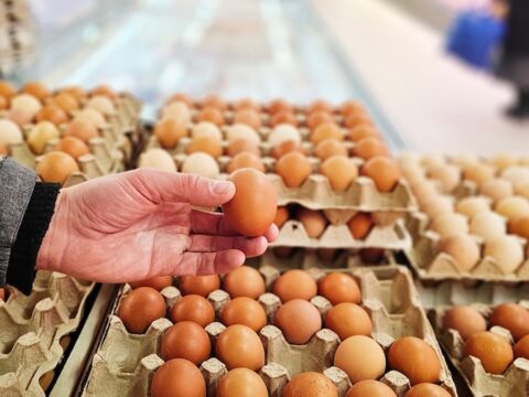 Gida krizi giderek buyuyor milyonlarca yumurta icin alarm verildi dnU1yzna