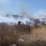 Son dakika istanbulda yangin kabusu alevler agaclik alana sicradi zGIeahcu