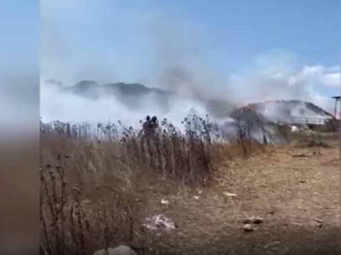 Son dakika istanbulda yangin kabusu alevler agaclik alana sicradi zGIeahcu